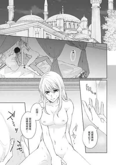 [Dai Sasaduka] ikoku no hanayome ~ seiai ressun wa kimigatame ~ | 異國的花嫁～為你接受的sex教學～ [Chinese] [莉赛特汉化组]