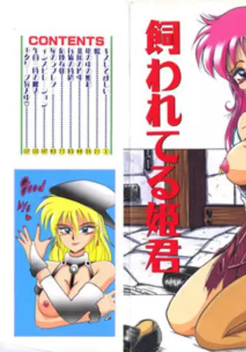 [Irotsuki Sakari] Kawareteru Himegimi