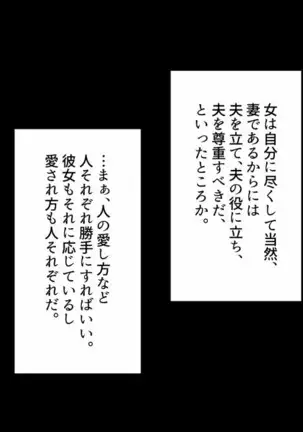 Hero Destruction Plan ~Brainwash Bad End NTR Edition~