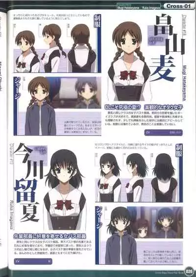 Cross Days Visual Fan Book