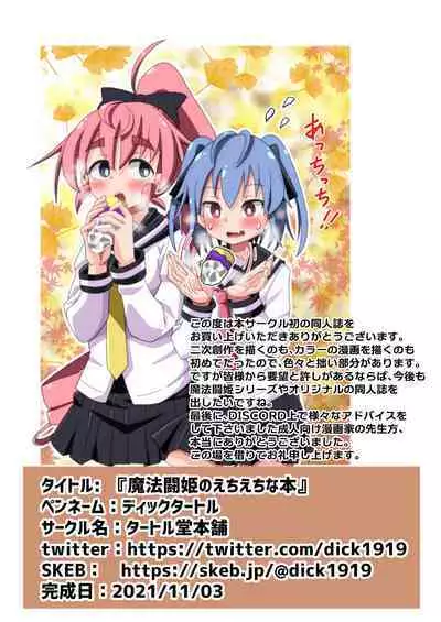 (タートル堂本舗)魔法闘姫のえちえちな本