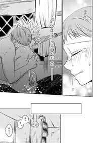 [SF-L (Hikari)] Imouto no Migawari (Nanatsu no Tazai) [Digital]