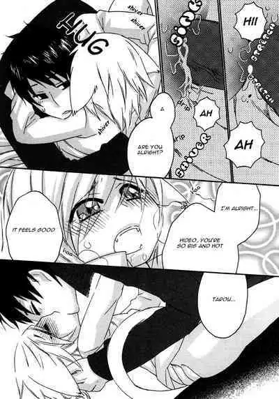 Puchi D VOL. 4 Kemonomimi