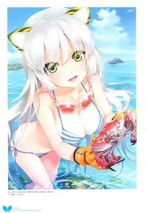 八宝備仁画集 紅蝶（ほてり）