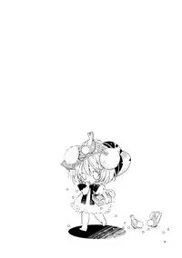 (C90) [PINSIZE Inc. (MITAONSYA)] BLACK AND WHITE RABBIT Soushuuhen