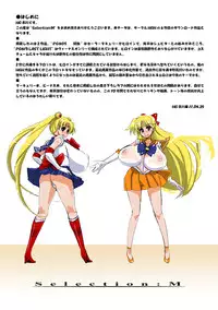 [HGH (HG Chagawa)] Selection:M (Bishoujo Senshi Sailor Moon) [Digital]