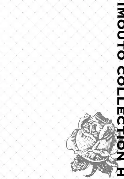 IMOUTO COLLECTION H