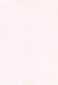 [INU] Pako Rush! | 狂抽猛插! [Chinese]