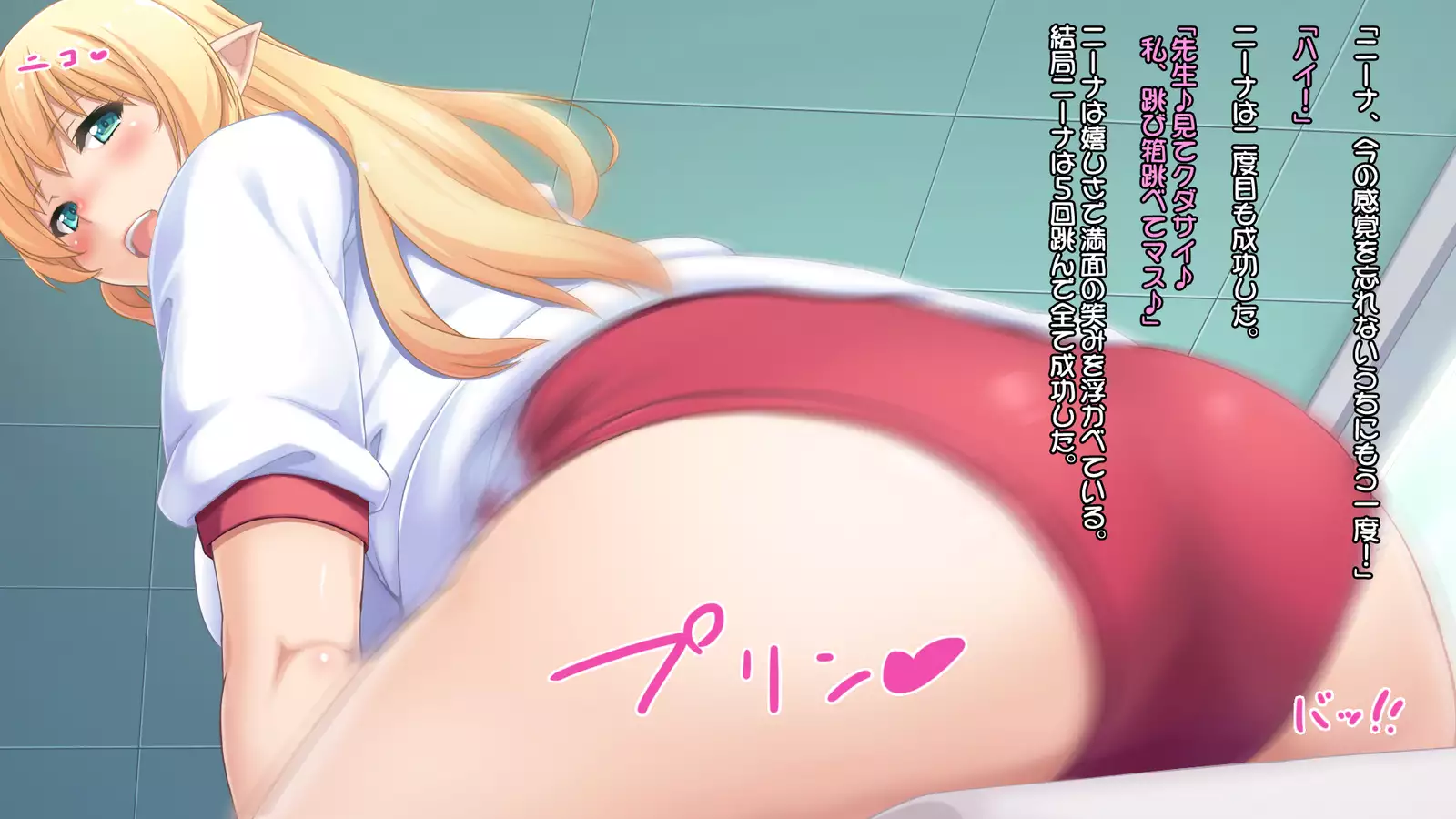 Junshin na Elf no Ryuugakusei ni Anal Choukyo shiyo！