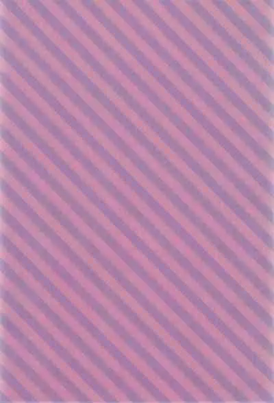 Isekai Elf Hime ni TS Shite Yuusha to xxx Suru Ohanashi