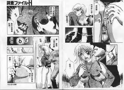 Chousa File H - Investigation File