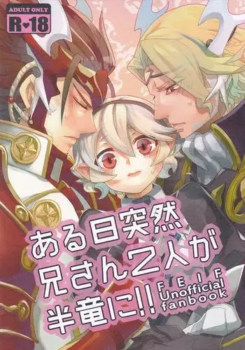 Aru Hi Totsuzen Nii-san Futari ga Hanryuu ni!!