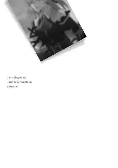 JosouLayer ga Joushi ni Baretara Shinuru | 女装马甲被上司扒掉的话还不如死了算了 Ch. 2-5