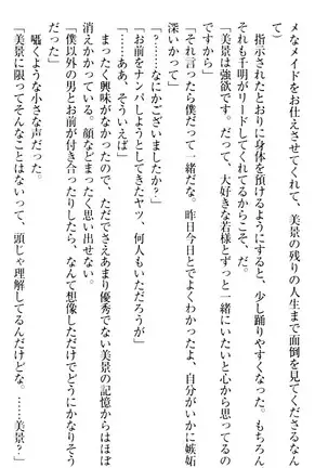 年上メイドの新婚日記