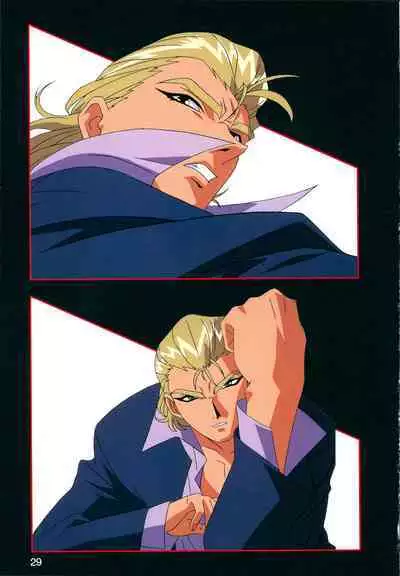 This is Animation Pocket- Chouja Reideen Character Book