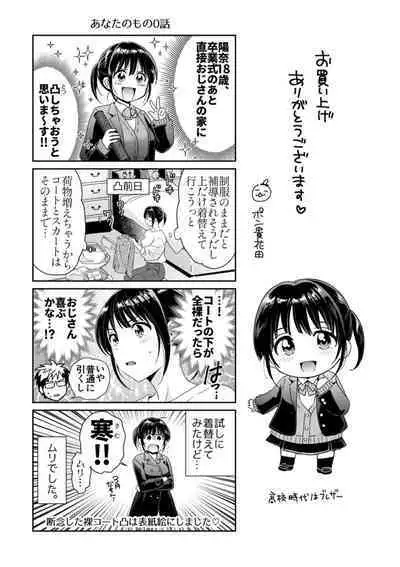 Anata no Mono ni Narimashita