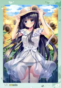 Otona no Moeoh 2017-Summer - My delusion