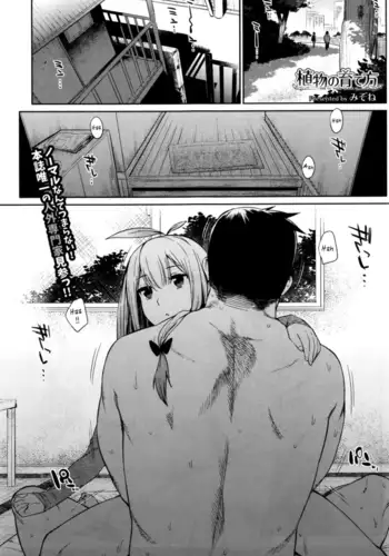 Shokubutsu no Sodatekata | Cómo criar una planta