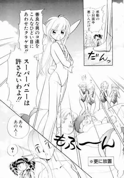 [Hikaru Nagareboshi] Seigi No Mikata Mo Raku Zya Nai