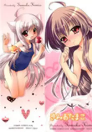 [Kimio Tamako] Dare ni mo Himitsu na Koigokoro♥