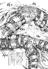 [Sumomo Dou (Sumomo EX)] Bakuhatsu Shiro! (Agarest Senki) [Digital]