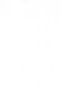 [Paradise City (Various)] Namikidoori (Various)