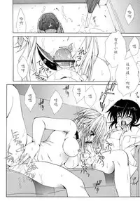 [Lapis Lazuli] Dual Girls [Chinese] [如月響子汉化组]