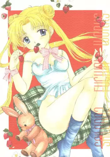 (C51) [Sailor Q2 (Ryö)] SFW Sailor Q2 Fuckin' Works (Bishoujo Senshi Sailor Moon)