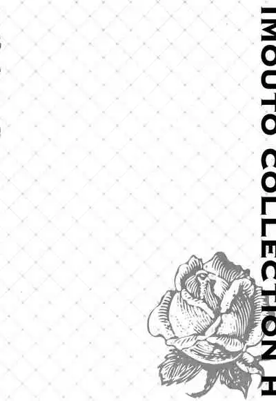 IMOUTO COLLECTION H