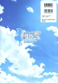 Tsunagaru Bangle - Visual Fan Book