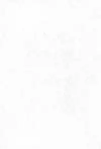 (CR27) [PHOENIX PROJECT (Various)] Okosama Lunch 4 (Various)