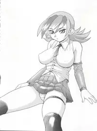 (C62) [Studio Wallaby (Nishitsuki Tsutomu)] Nishitsuki Recycle (Various)