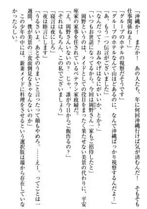 年上メイドの新婚日記