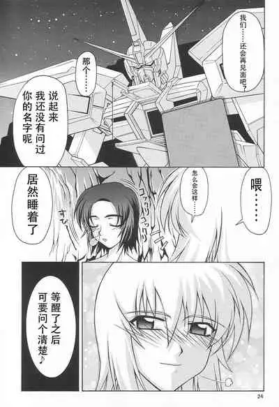 (C65) [GOLD RUSH (Suzuki Address)] Emotion (Ki) (Gundam SEED) [Chinese] [风油精汉化组]