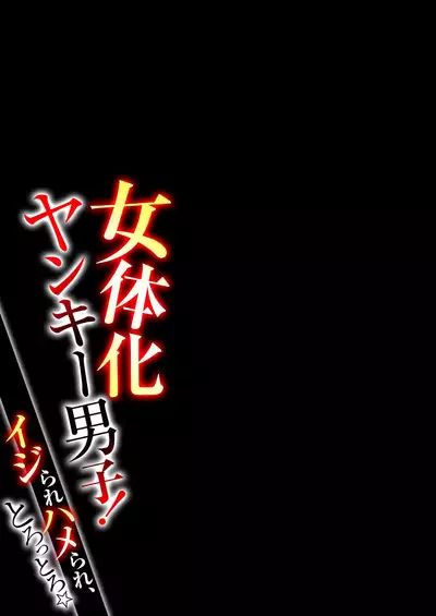 Nyotaika Yankee Danshi! Ijirare Hamerare, Torottoro ☆ 1