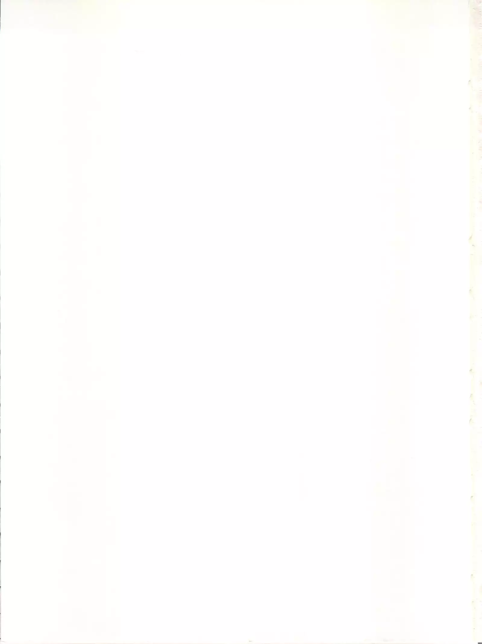 TT2 Terrible x Trouble 2nd