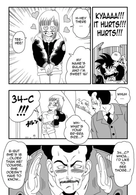 Oolong also misleads Bulma!