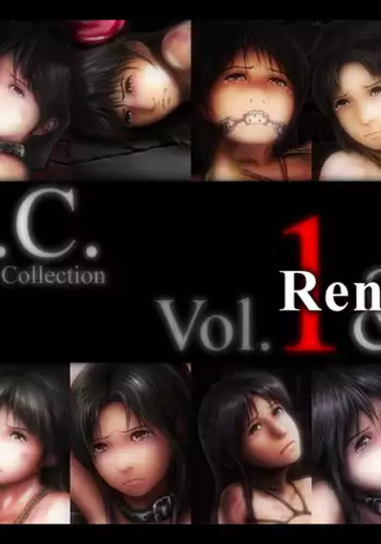 H.S.C. Illustration collection Vol.1&2 Renewal