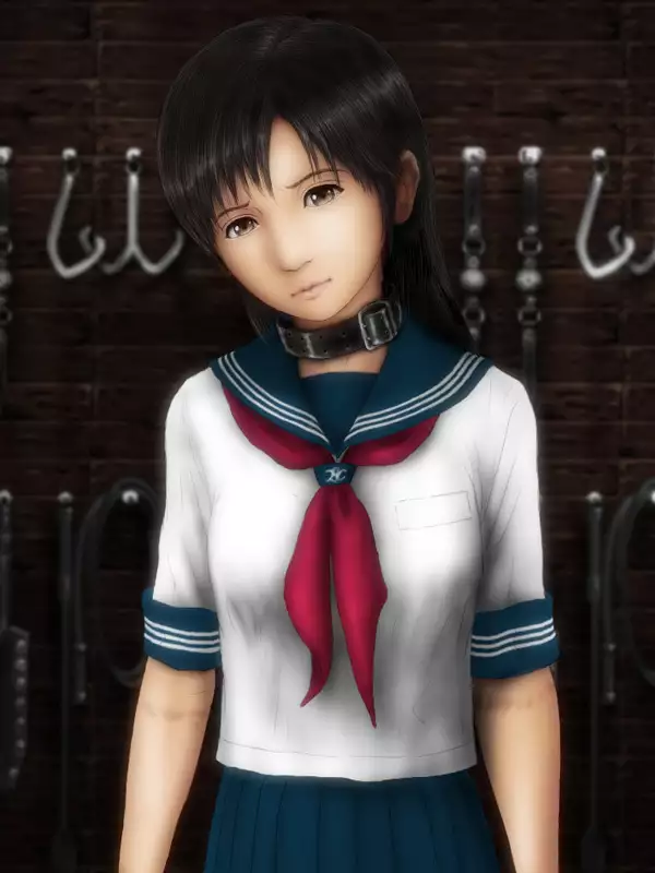 H.S.C. Illustration Collection Ex.4