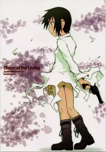 (C71) [PLANET PORNO (Yamane)] Thorn of the Living (Kino no Tabi)