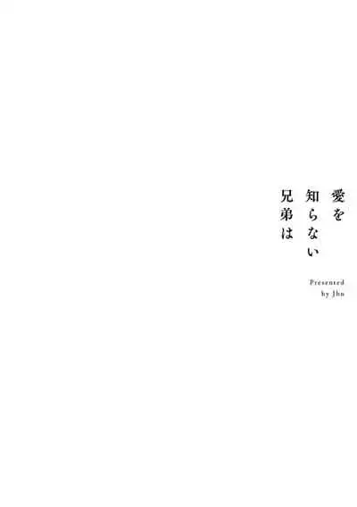 [Jbn] Ai o Shiranai Kyoudai wa | 不懂得爱的兄弟 Ch. 1 [Chinese] [冒险者公会] [Digital]