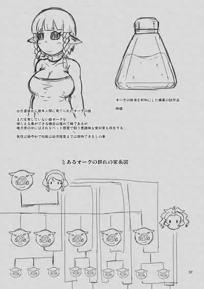 幻想妖媚録 オーク