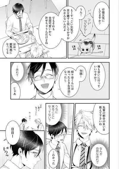 High Spec Danshi ni Natsukareteimasu