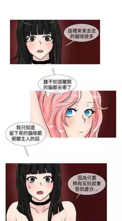 小野貓馴服手冊