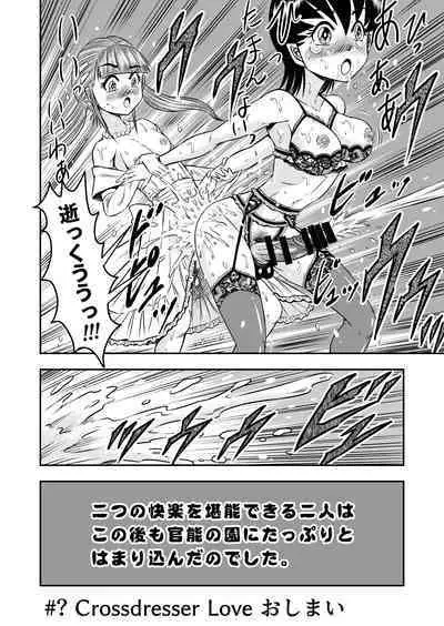 OwnWillボクがアタシになったとき 総集編