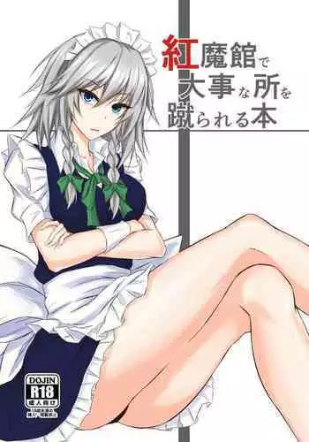 Koumakan de Daiji na Tokoro o Kerareru Hon