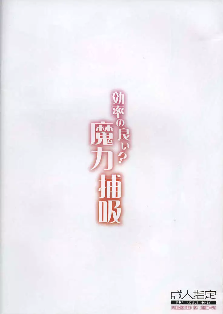 Kouritsu no Yoi? Maryoku Hokyuu - Efficient? Magical Power Replenishment