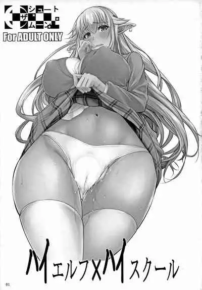 High Elf x High School