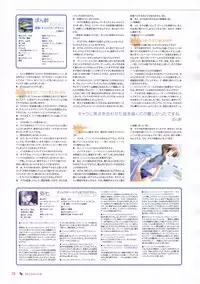 Canvas Sepia iro no motif Visual Fan Book