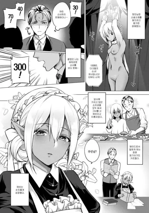 Dark Elf no Koi Monogatari | Love Story Of A Dark Elf